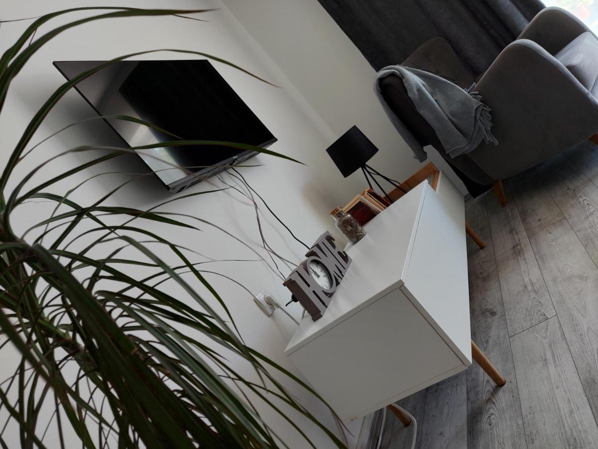 Fenix Apartment & Rooms Vinci Exterior photo