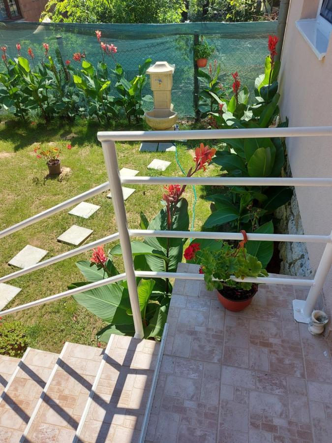 Fenix Apartment & Rooms Vinci Exterior photo